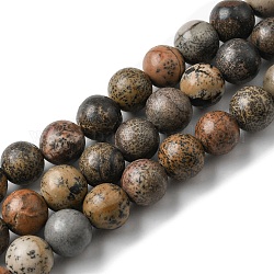 Chapelets de perles de jaspe dendritique naturelle, ronde, 8~8.5mm, Trou: 1.2mm, Environ 45 pcs/chapelet, 14.76'' (37.5 cm)