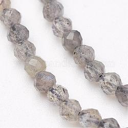 Chapelets de perles en labradorite naturelle, facette, ronde, 3mm, Trou: 0.5mm, Environ 149 pcs/chapelet, 15.5 pouce