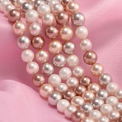 Shell Pearl Beads Strands, Polished, Round, Mixed Color, 6mm, about 64pcs/strand, 15.9 inch