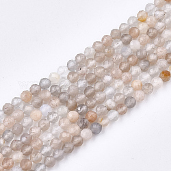 Fili di perline multi-moonstone naturali, sfaccettato, tondo, 2mm, Foro: 0.5 mm, circa 159pcs/filo, 15.7 pollice