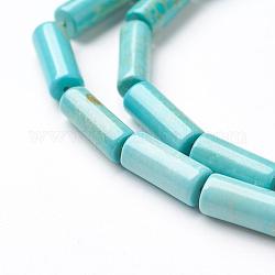 Natural Magnesite Bead Strands, Dyed & Heated, Column, 12~14x4~5mm, Hole: 1mm, about 32pcs/strand, 15.3 inch(39cm)