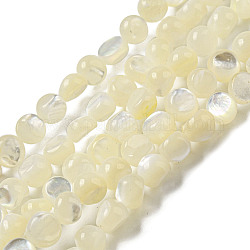 Fili di perline di conchiglia bianca naturale, rotondo e piatto, verga d'oro pallido, 5.5~6x4.5~5mm, Foro: 0.6 mm, circa 73~74pcs/filo, 15.75'' (40 cm)