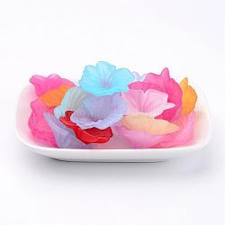 Transparent Acrylic Beads, Frosted Style, Flower, Mixed Color, 30x33x10.5mm, Hole: 1.5mm, about 250pcs/500g
