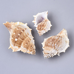 Perles de coquillage naturel, perles non percées / sans trou, blanc antique, 58.5~99x42~64.5x31~48mm