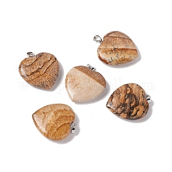 Pendentifs de jaspe avec image naturelle, avec les accessoires en laiton de tonalité de platine, breloque coeur, 27~28x25x7mm, Trou: 7x4mm