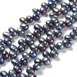 Fili di perle di perle d'acqua dolce coltivate naturali, riso, tinto, blu di Prussia, 7~9x6~7mm, Foro: 0.7 mm, circa 58~59pcs/filo, 13.78~13.94'' (35~35.4 cm)