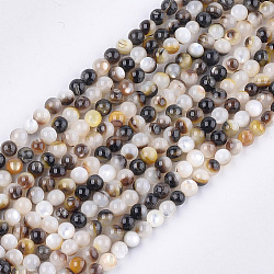 Schwarz Lippe Shell Perlen Stränge, Runde, Schwarz, 3.5~4 mm, Bohrung: 0.7 mm, ca. 96 Stk. / Strang, 15.3 Zoll