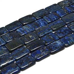Chapelets de perles en lapis-lazuli naturel, rectangle arrondi, 25~25.5x18x5mm, Trou: 1mm, Environ 16 pcs/chapelet, 15.75'' (40 cm)