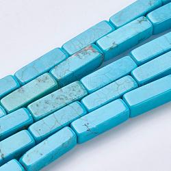 Fili di perline di magnesite naturale, tinto, cuboide, cielo blu, 13~13.5x4x4mm, Foro: 1 mm, circa 29pcs/fili, 15.35 pollice (39 cm)