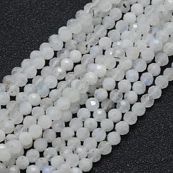 Brins de perles de pierre de lune arc-en-ciel naturel, ronde, facette, 4mm, Trou: 0.7mm, Environ 94 pcs/chapelet, 15.35 pouce (39 cm)