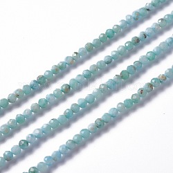 Natural Larimar Beads Strands, Round, Faceted, 3~3.5mm, Hole: 0.3mm, about 122~132pcs/strand, 15.83 inch (40.2cm)