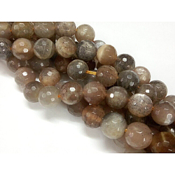 Sunstone naturel noir brins de perles rondes, facette, 8mm, Trou: 1mm, Environ 47 pcs/chapelet, 15.0 pouce