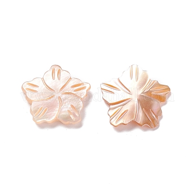 Cabochon conchiglia&nbsp;SSHEL-C008-09-1