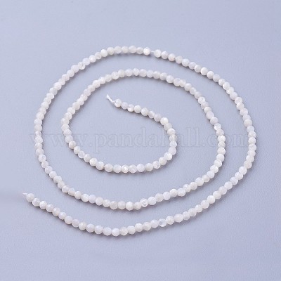 Chapelets de perles de coquillage&nbsp;G-F619-27-2mm-1