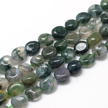 Chapelets de perles en agate mousse naturelle G-R445-8x10-01-1