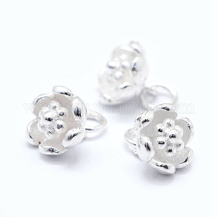 Sterling Silver Charms STER-I016-048S-1