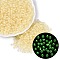 FGB Grade A Transparent Glass Seed Beads, Rondelle, Luminous Glow in the Dark, Center Dyed, Faceted, Light Khaki, 4x3mm, Hole: 1.2~1.6mm, about 6081pcs/pound