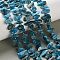 Natural Apatite Beads Strands, Chip, with Seed Beads, 9.5~18.5x4~7.5x3.7mm, Hole: 0.8mm, about 52~53pcs/strand, 15.35~15.55''(39~39.5cm)