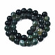 Chapelets de perles en agate mousse naturelle G-T106-019-2