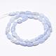 Natural Blue Lace Agate Beads Strands G-F521-27-2