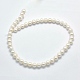 Natural Cultured Freshwater Pearl Beads Strands PEAR-F007-24-2