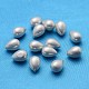 Perles de coquille BSHE-R148-8x11mm-06-2