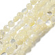 Fili di perline di conchiglia bianca naturale SSHEL-H072-03-1