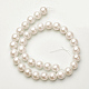 Shell Imitated Pearl Bead Strands BSHE-F0014-8mm-10-2