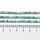 Natural HuBei Turquoise Beads Strands G-P514-B07-02-5