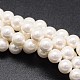 Shell Pearl Beads Strands BSHE-E008-16mm-12-1