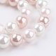 Shell Pearl Beads Strands BSHE-G012-10mm-4