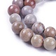 Natural Fossil Coral Beads Strands G-L500-02-8mm-2