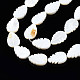 Eau douce naturelle de coquillage perles brins SHEL-Q024-004-3
