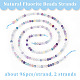 Olycraft 2 Strands Natural Fluorite Beads Strands G-OC0004-38-4