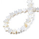 Eau douce naturelle de coquillage perles brins SHEL-S278-01A-01-4