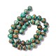Natural Chrysocolla Beads Strands G-I318-09C-4