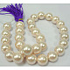 Shell Pearl Beads Strands SP10MM205-3