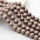 Shell Pearl Beads Strands BSHE-H014-02-1