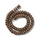 Natural Fossil Coral Beads Strands G-H269-04-4