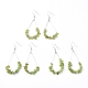 Dangle Earrings EJEW-E255-B17-2