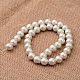 Polished Round Grade A Shell Pearl Bead Strands BSHE-M027-12mm-27-2