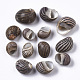 Natural Conch Shell Beads SSHEL-S258-89-2
