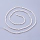 Chapelets de perles de coquillage G-F619-27-2mm-2