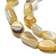 Jaune naturel coquille brins de perles SSHEL-H072-08-3