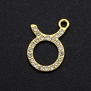 Подвески сплава Rhinestone PALLOY-S098-DA024-2