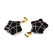 Подвески lampwork GLAA-T023-06B