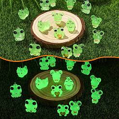 24 pendentif en résine grenouille lumineuse 6 styles.&nbsp;RESI-YW0006-19