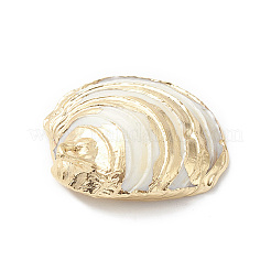 Pendenti naturali di guscio di mare&nbsp;SHEL-F005-06LG