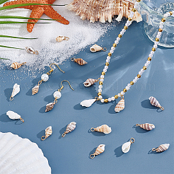 100 pièces 4 styles pendentifs en coquillage naturel&nbsp;PALLOY-NB00010