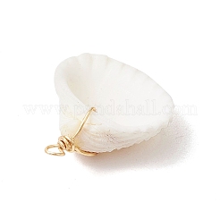 Natürlichen Muschel Anhänger&nbsp;PALLOY-JF03316-03
